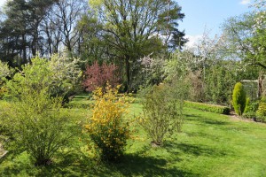 Garten Frühling   